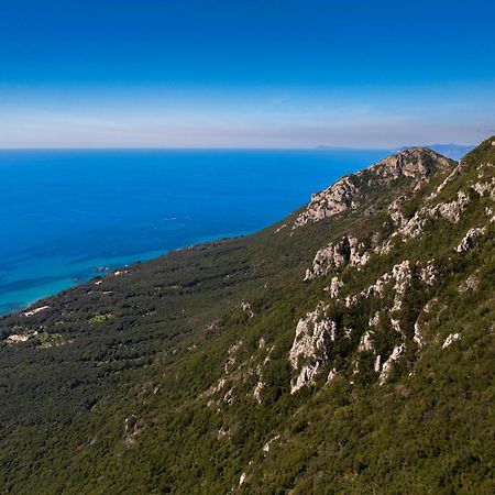 Artemis Prasoudi Beach Halikounas Exteriér fotografie